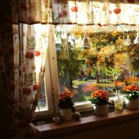 疫情严重注意防护的关心语句(精选46句)