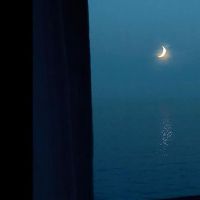 对自己一年的经历的感慨句子