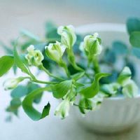 疫情助力中国正能量的句子经典语句(精选43句)