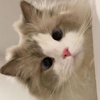 特别吸粉的有趣的签名 2022全新有趣味的吸粉签名