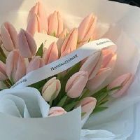 妇女节简单的祝福文案 2022三八妇女节精选微信祝福语