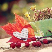 天气回暖的说说句子(精选37句)