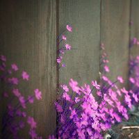 适合母女照片发朋友圈的句子