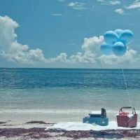 让人有安全感的爱意文案句子(精选52句)