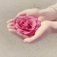 高端大气英文网名(带翻译)(精选101个)