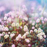 简短好听的2字男生昵称(精选85个)