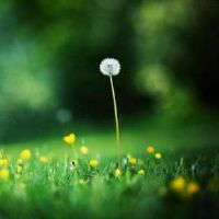 清新脱俗的网名大全(精选69个)