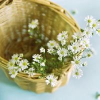 好听又优雅的微信名字 网络游戏昵称大全(精选83个)