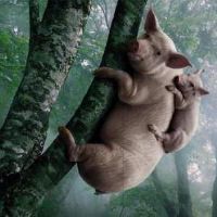 非常幽默搞笑的昵称 搞笑的谐音网名(精选66个)