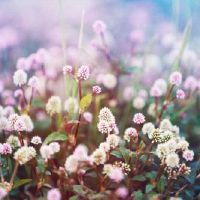 简单干净的两个字网名ID(精选87个)