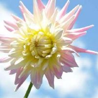 甜美森系简洁小清新的高级感女生网名(精选72个)