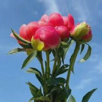 好好生活的简短说说 好好生活慢慢相遇文案