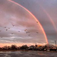 用了不想换的小众网名(精选72个)