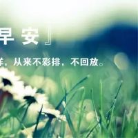 早安朋友圈点赞率最高的说说