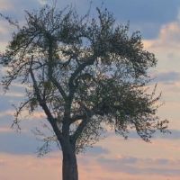 野性也干净的简短超拽签名 很拉风的个性酷拽签名