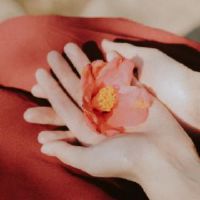 云淡风轻的唯美签名 淡然唯美的好听签名(精选31条)