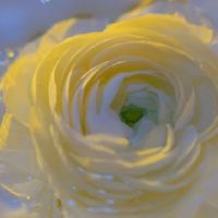 暗恋一个人开心的签名 关于暗恋的开心语录(精选35条)