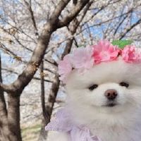 当伴娘发朋友圈的好听句子 第一次当伴娘的朋友圈文案