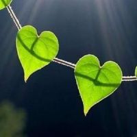 心情非常好的朋友圈文案短句(精选57句)