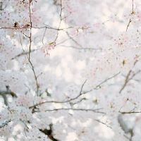 安静唯美有哲理的句子 安静唯美的名字(精选30个)