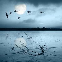 古风有诗意的游戏名字(精选189个)