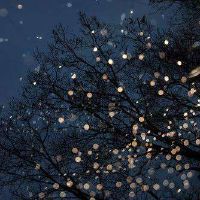 带英文字母的个性网名大全(精选70个)