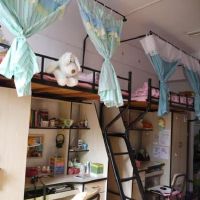 好听有趣的宿舍群名字(精选74个)