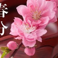 精选春分节气的优美句子 春分节气精美心情说说