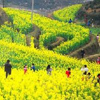 踏青的诗句精选(10首)