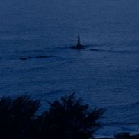 痛到骨子里心碎的签名 超级心碎的难过签名(精选33条)