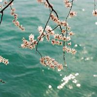 关于风的温柔文案短句(精选46句)