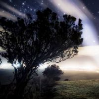 简单随意不会撞见的网名大全(精选65个)