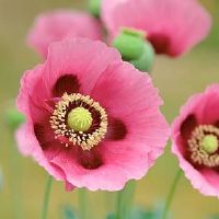 一看就想加的网名精选(精选88个)