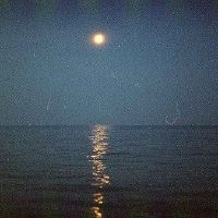 适合文艺青年使用的网名(精选85个)