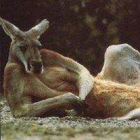 简单好听有创意的网名 什么昵称好听又有内涵