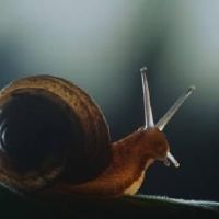 佛系安静用什么微信名好 好听带静的网名(精选99个)