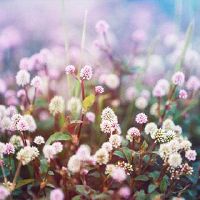 推荐简单好听的昵称 有什么好听的网名(精选189个)