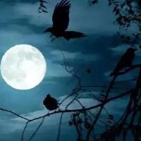 想念到失眠的语录 失眠的朋友圈文案(精选66句)