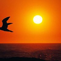 抖音秒赞的哲理文案短句(精选81句)