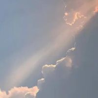 关于人间清醒的文案句子(精选95句)