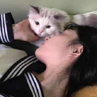 超级可爱浪漫的少女网名(精选61个)