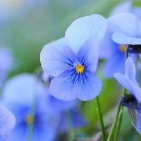 有诗意的八个字网名(精选47个)