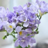 四个字独特好听的昵称(精选126个)