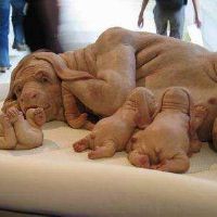 幽默风趣的搞笑昵称(精选49个)