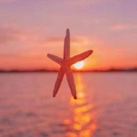 安慰身边人的暖心治愈文案句子(精选98句)