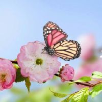 有个性的花样qq昵称(精选87个)