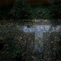 关于春夏秋冬四季的网名(精选43个)