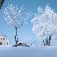 发朋友圈下雪高端句子 下雪的有意境的短句子