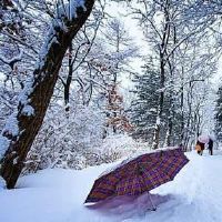 下雪了说说短句 2022最火下雪文案短句