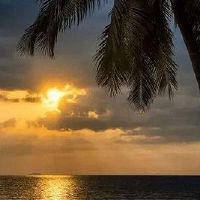 霸气又不失风度的网名 好听有风度的网名(精选78个)